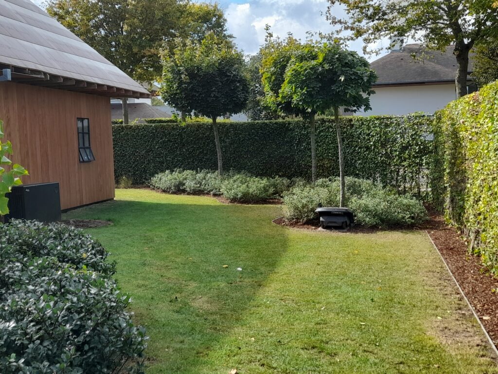 tuin met houten terras